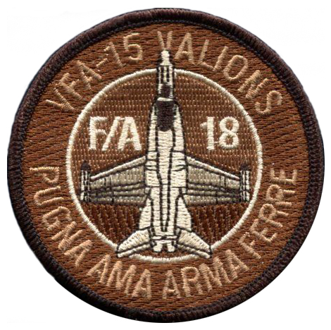VFA-15 Valions FA/18 desert