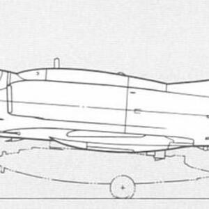 a4m-profile2.jpg