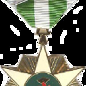rvn-camp-230.png