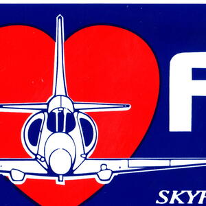sa-decal-2.jpg