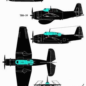 tbm3v.jpg