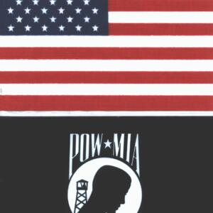 usa-pow-flag.gif