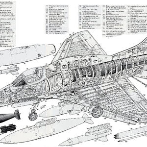 a4m-cutaway-mod1.jpg
