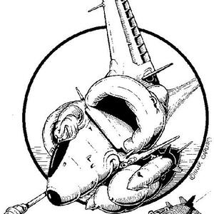 caruso-dive-sa-500.jpg