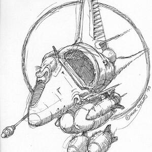 caruso-dive-sa-640.jpg