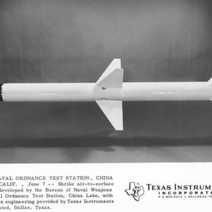 chinal_shrike.jpg