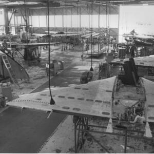 douglas-delta-wing1-100dpi_douglas_john-tyner.jpg