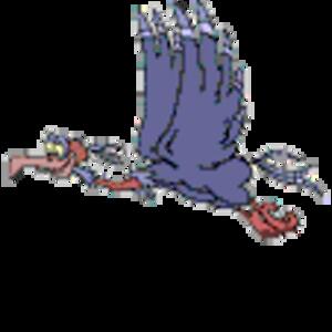 funny-bird-flying.gif