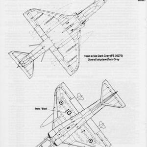 safo-apr99-brazil2.jpg