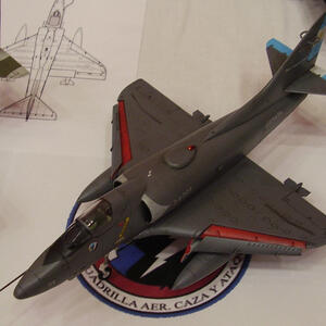 model-a4q-2013nationals-turpen_0.jpg