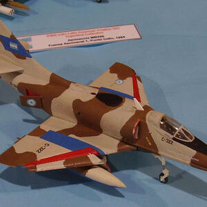 model-c322-a4p-2010nationals-turpen_0.jpg