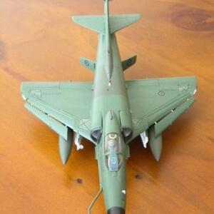 model-kahu1_sam-hall.jpg