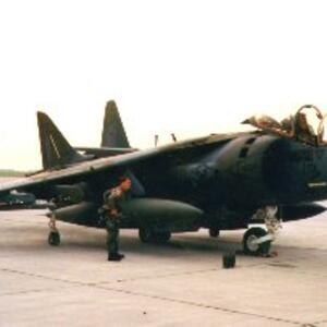 Bull Dog Pilot