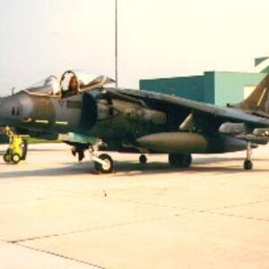 Harrier 11