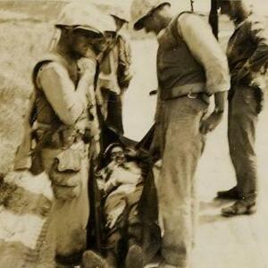 doswell-korea.jpg