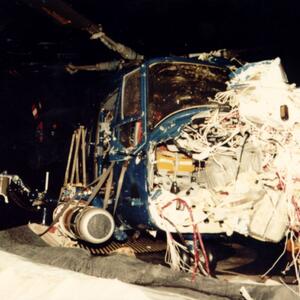 lynx2_guillen.jpg