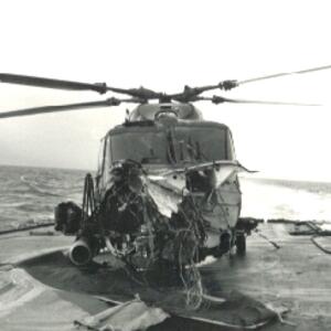 lynx3_guillen.jpg