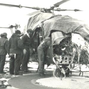 lynx4_guillen.jpg