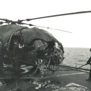 lynx5_guillen.jpg