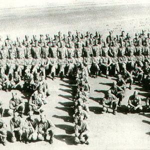 m214 43