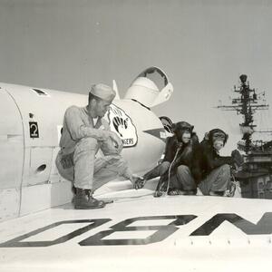va113-cva63-1965-chimps.jpg