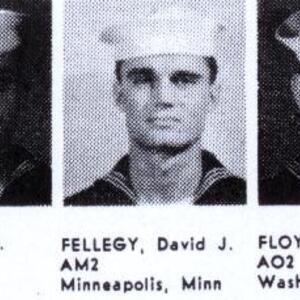 vf84em7.jpg