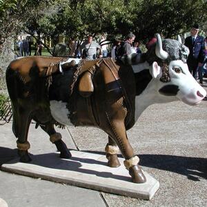 2003feb_san-antonio36.jpg