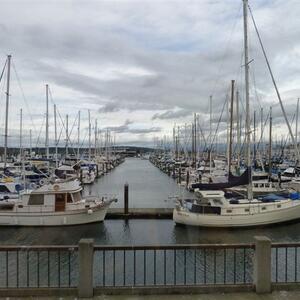 brd-2013-langworthy-seattle-042.jpg
