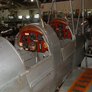 feb07-dallas-brdmtg-bear-11.jpg