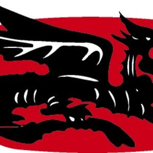 insignia-flying-dragon.jpg