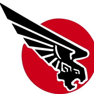 insignia-flying-wing.jpg