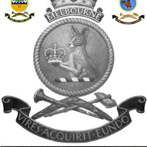 melbourne-patch_RANlogbook-badges6_thompson.jpg