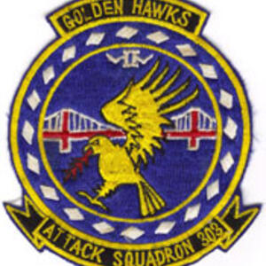 va303patch-1.jpg