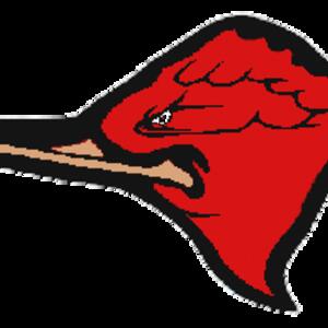 va36bird.gif