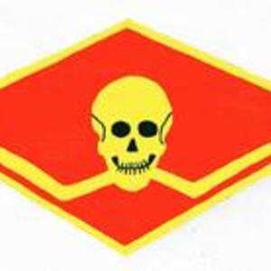 vf1b_patch-1.jpg