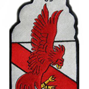 vf63-va22-patch.jpg