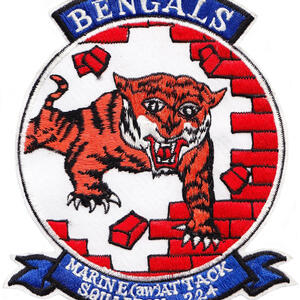 vma(aw)]-224_bengals_3.jpg