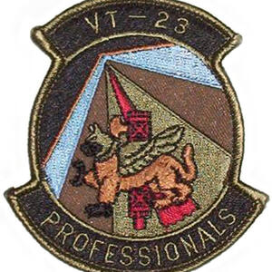 vt23-professionals-gold.jpg
