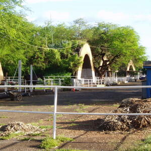 MCAS Ewa horse hangars