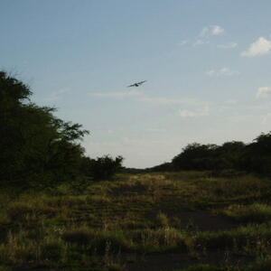 MCAS Ewa runway